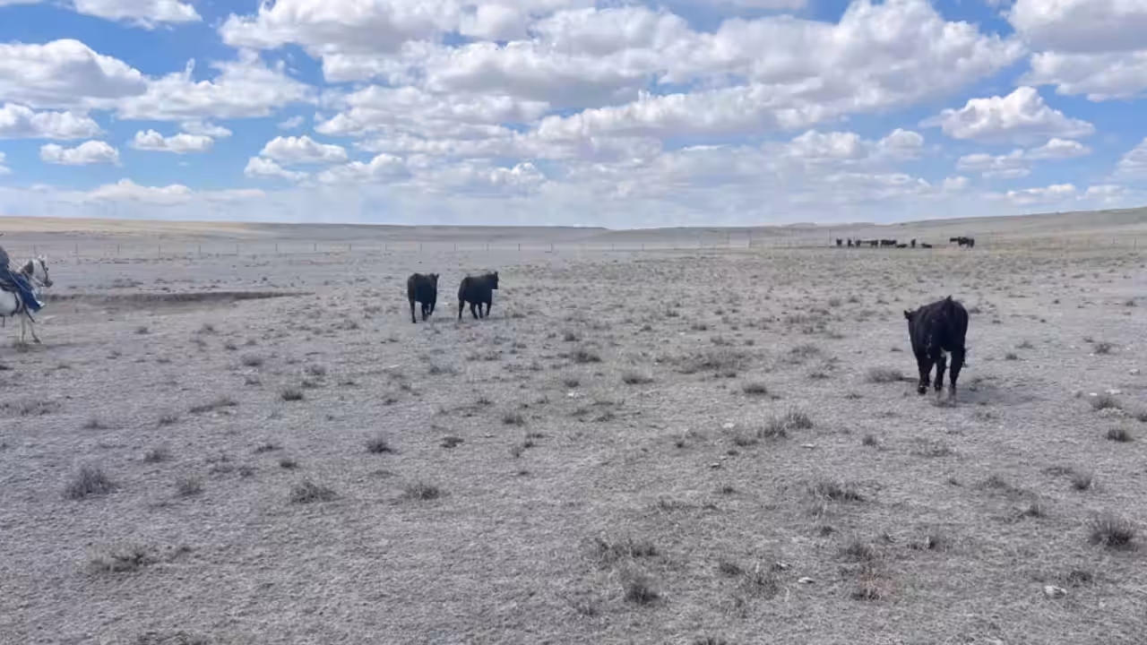The part of the Salo ranch where wind turbines are planned