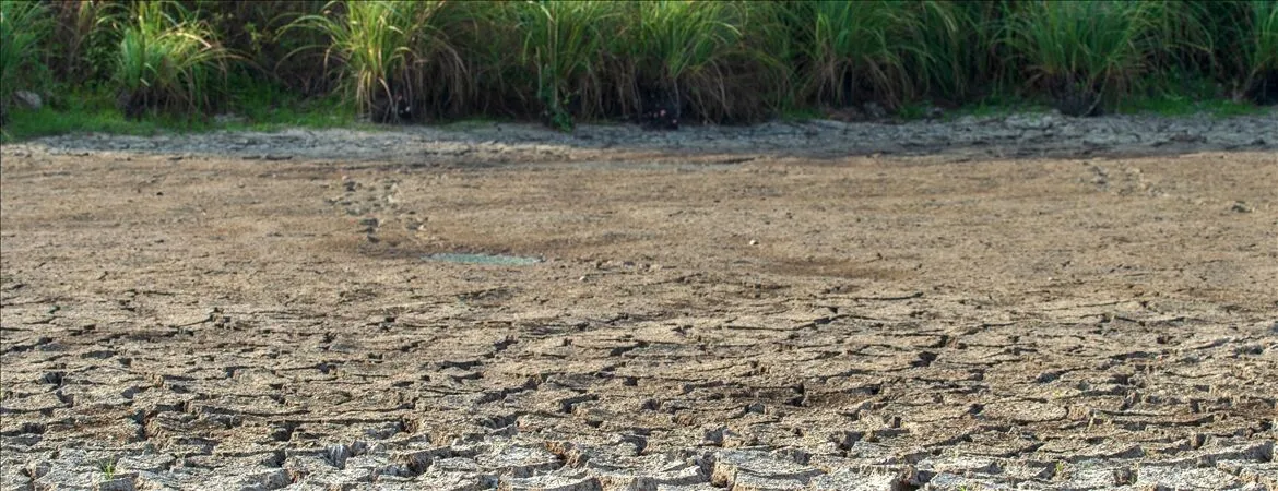 World could warm 3.25C by 2100 under current policies, Swiss-German study suggests
