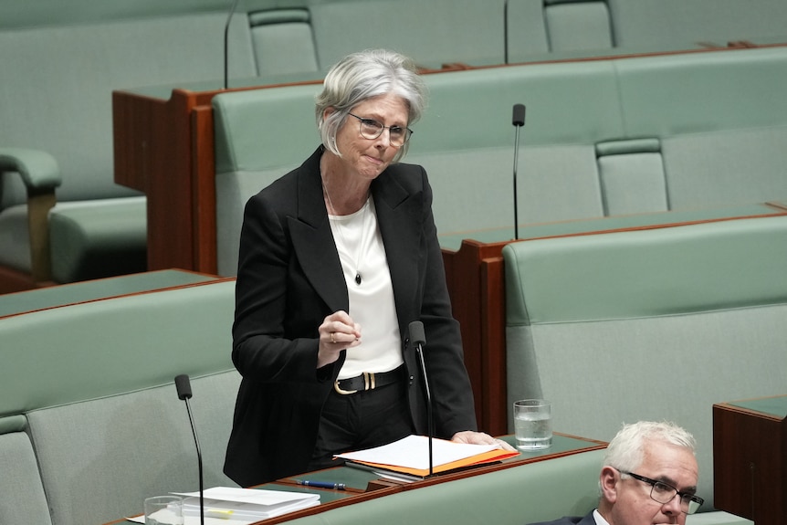 A silver-haired woman standing to talk in parliament.