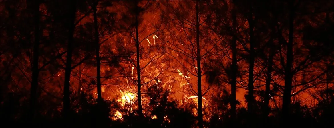 Ecuador battles wildfires as blazes spread across 5 provinces
