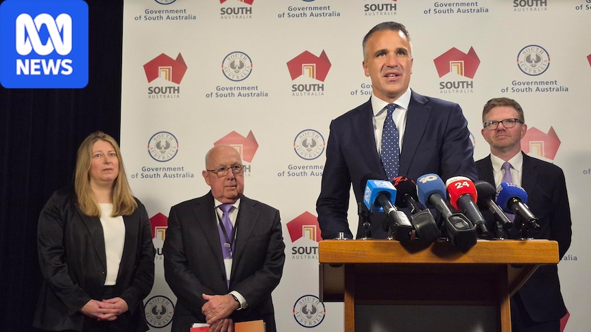 SA Premier announces three experts to lead Royal Commission into AI