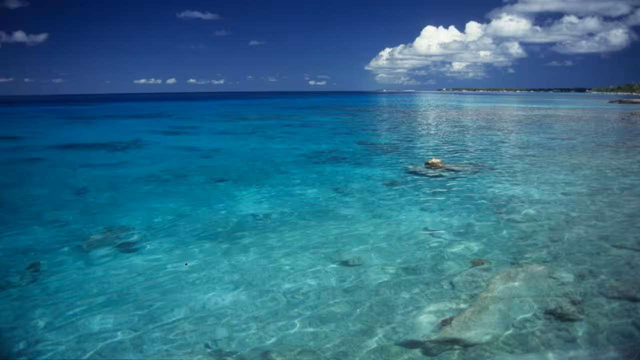 How did floating solar platforms reduce seabed light