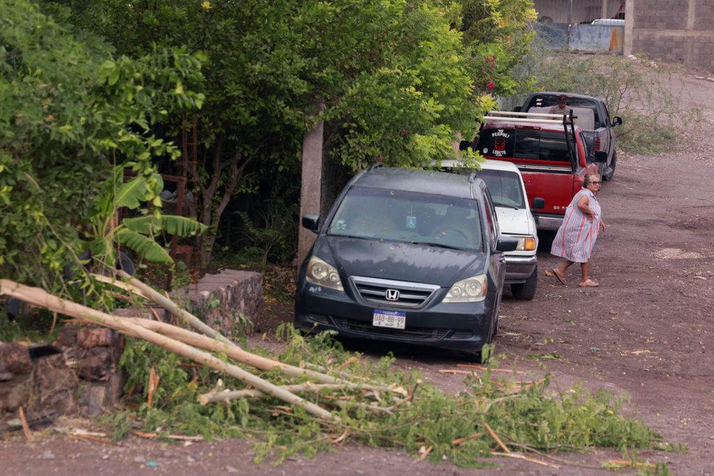Hurricane Polo makes landfall in Baja California, toppling trees and flooding coastal communities