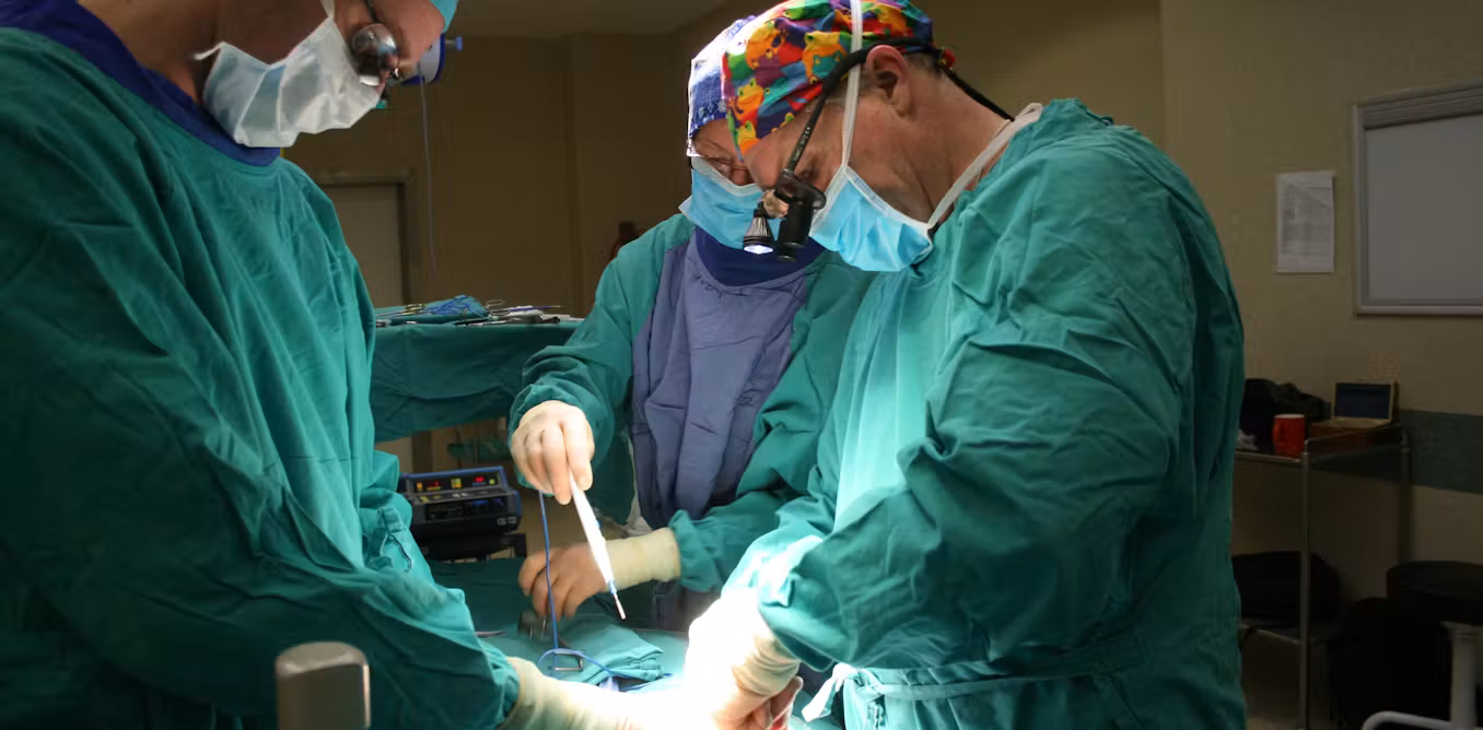 From split livers to machine perfusion: the 20-year evolution of liver transplants in South Africa