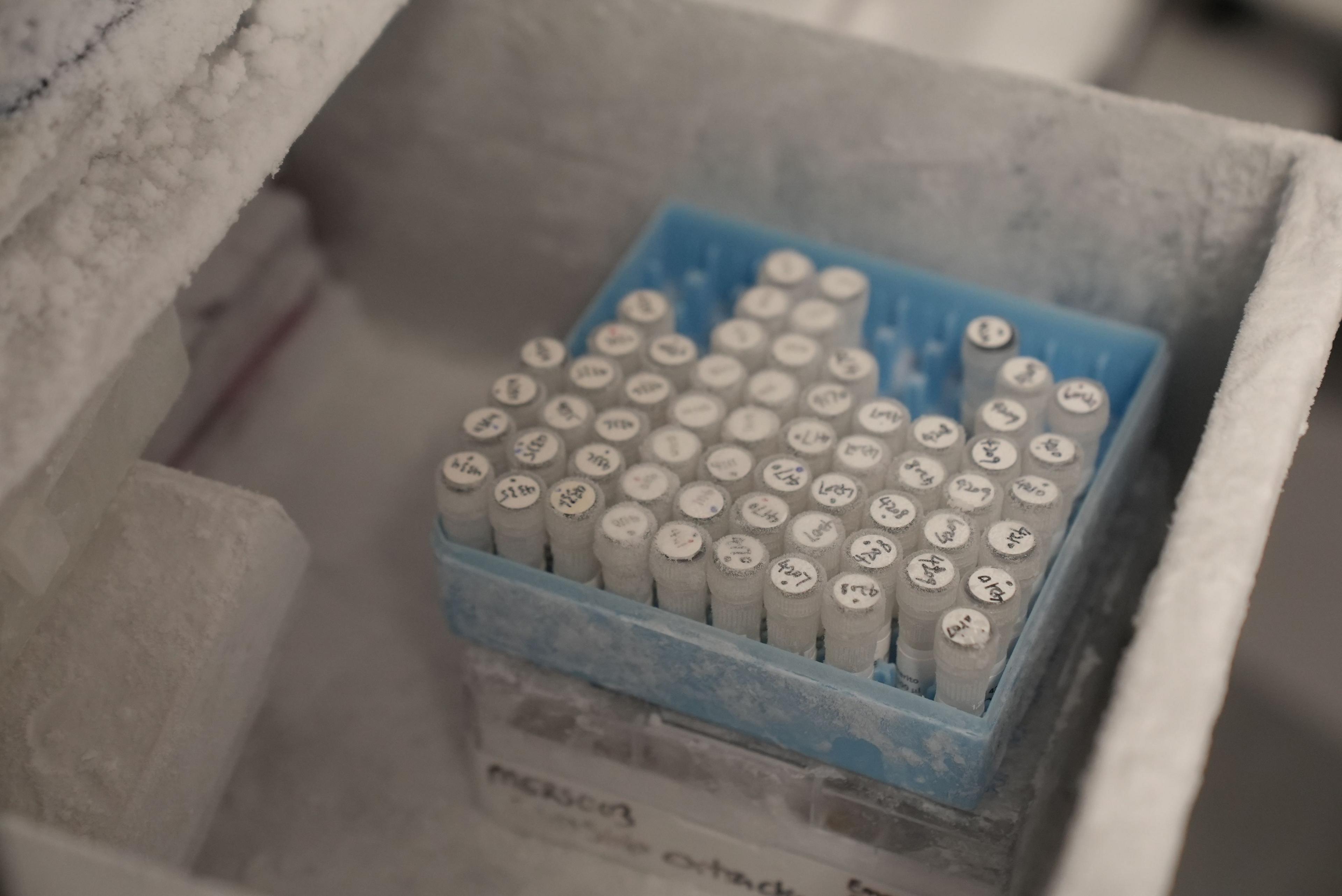 The image shows a frosted storage container, part of a laboratory freezer, with a blue rack holding dozens of small sample tubes. The tubes are arranged in neat rows and columns, and each cap has handwritten labels or identification numbers on it. A layer of frost covers the rack, tubes, and interior surfaces, indicating that the samples are being stored at very low temperatures.
The foreground is in sharp focus around the sample rack, while the surrounding freezer compartment and other contents