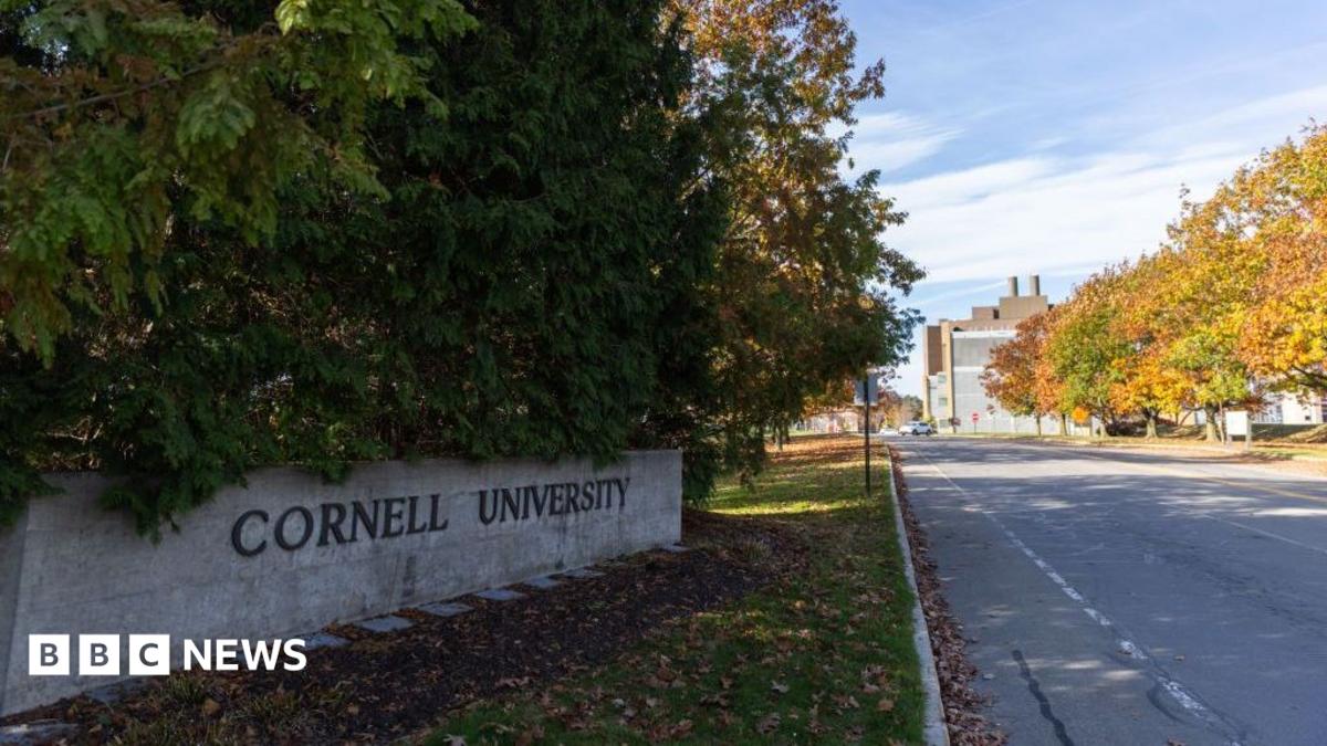 Case of alleged rape at Cornell University reopened after lawsuit filed