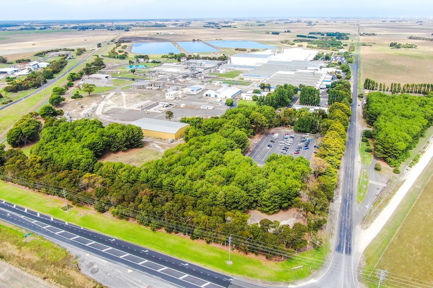 A bird-eye view of factory rooves, trees and a carpark