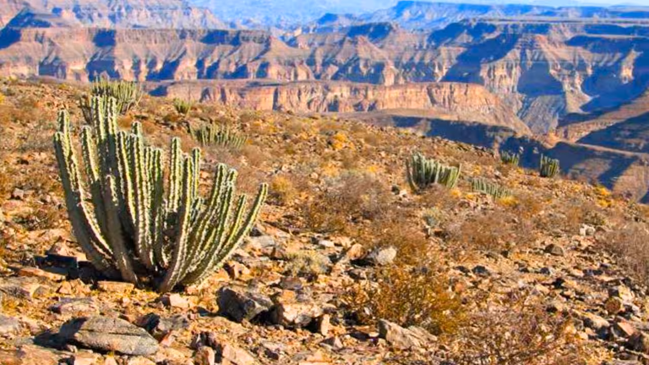 How will Namibia’s new conservation deal support more than 20 million hectares<br>