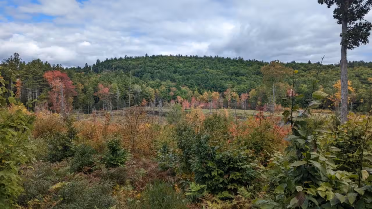 The property provides habitat for moose, deer, bobcats, migratory birds and other wildlife.