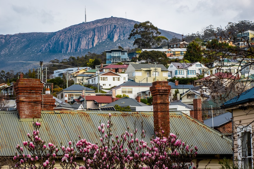 Various houses on a hill in Hobart