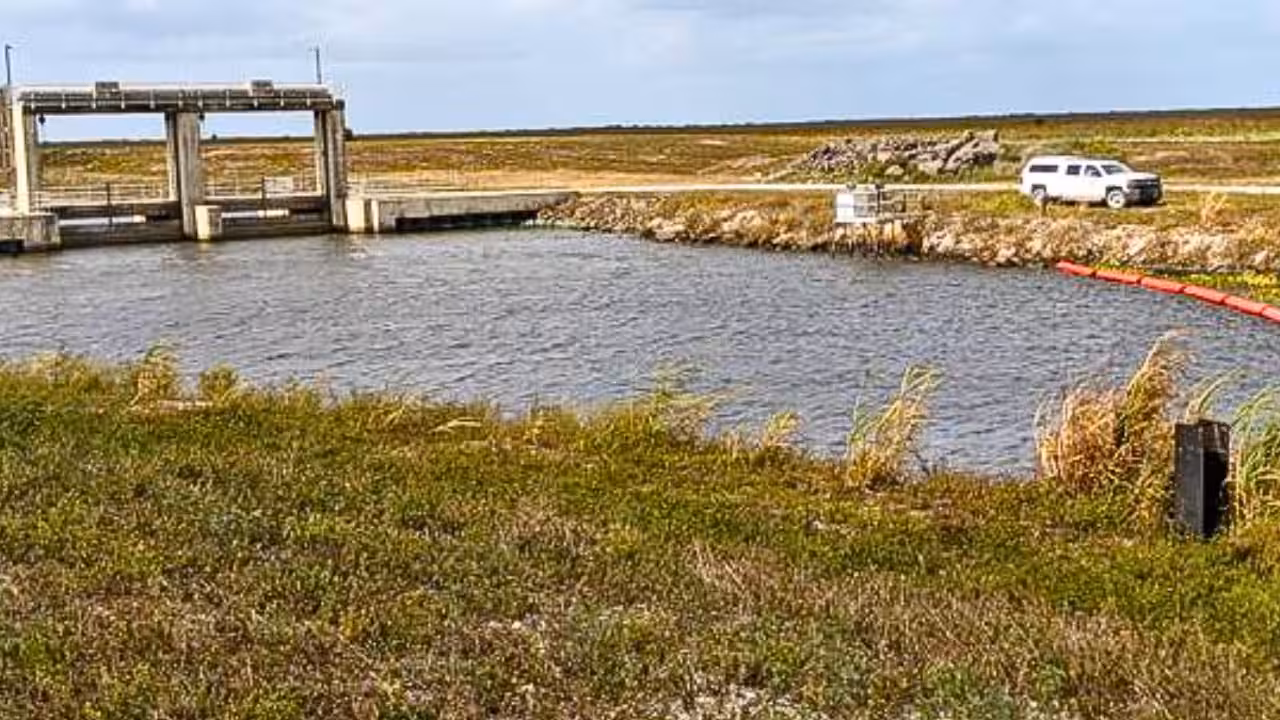 How are scientists using eDNA to track Burmese pythons<br>