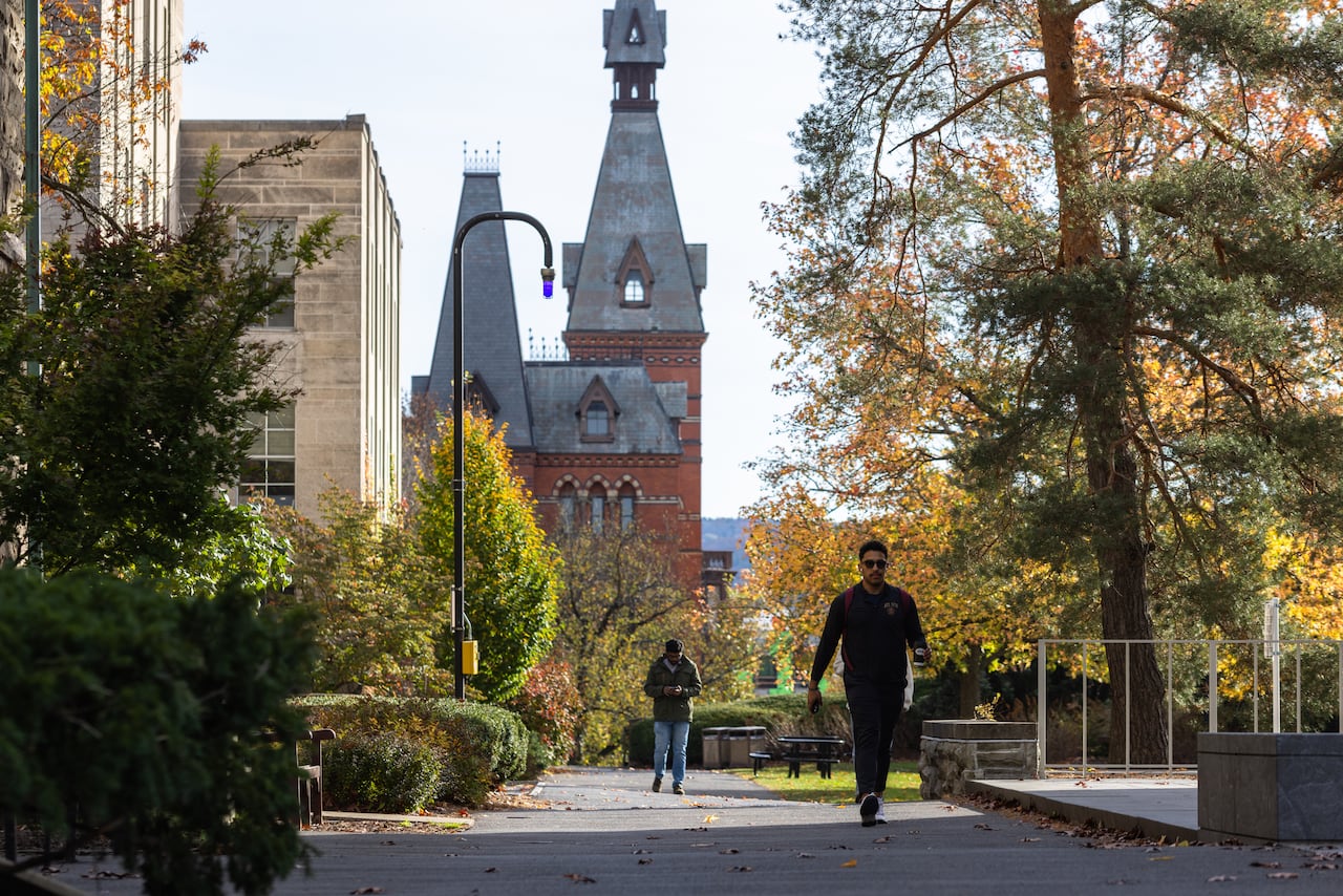 A university campus with leafy trees and old buldings