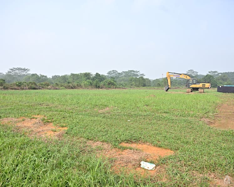 The future site of DoMo Farm, Singapore's upcoming fourth commercial egg farm at Lim Chu Kang on Sep 29, 2026. (Photo: CNA/Raydza Rahman)
