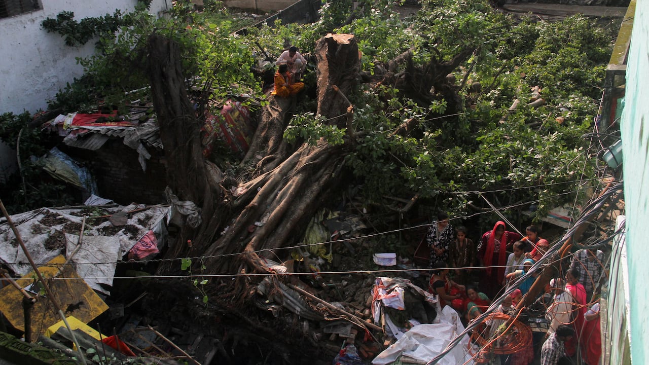 People sit on a tree that has been uprooted.
