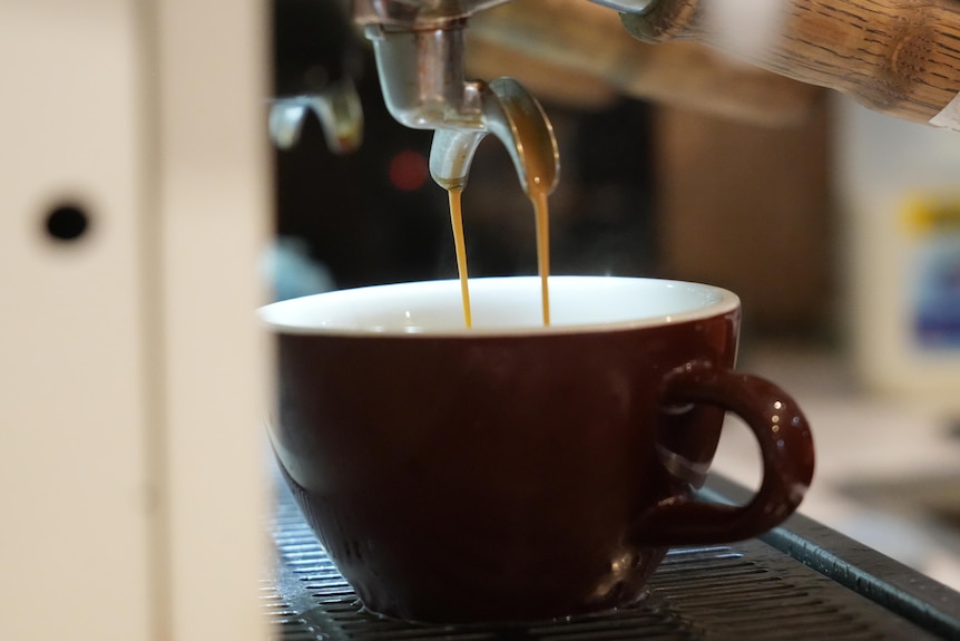 Shot of a coffee being made.