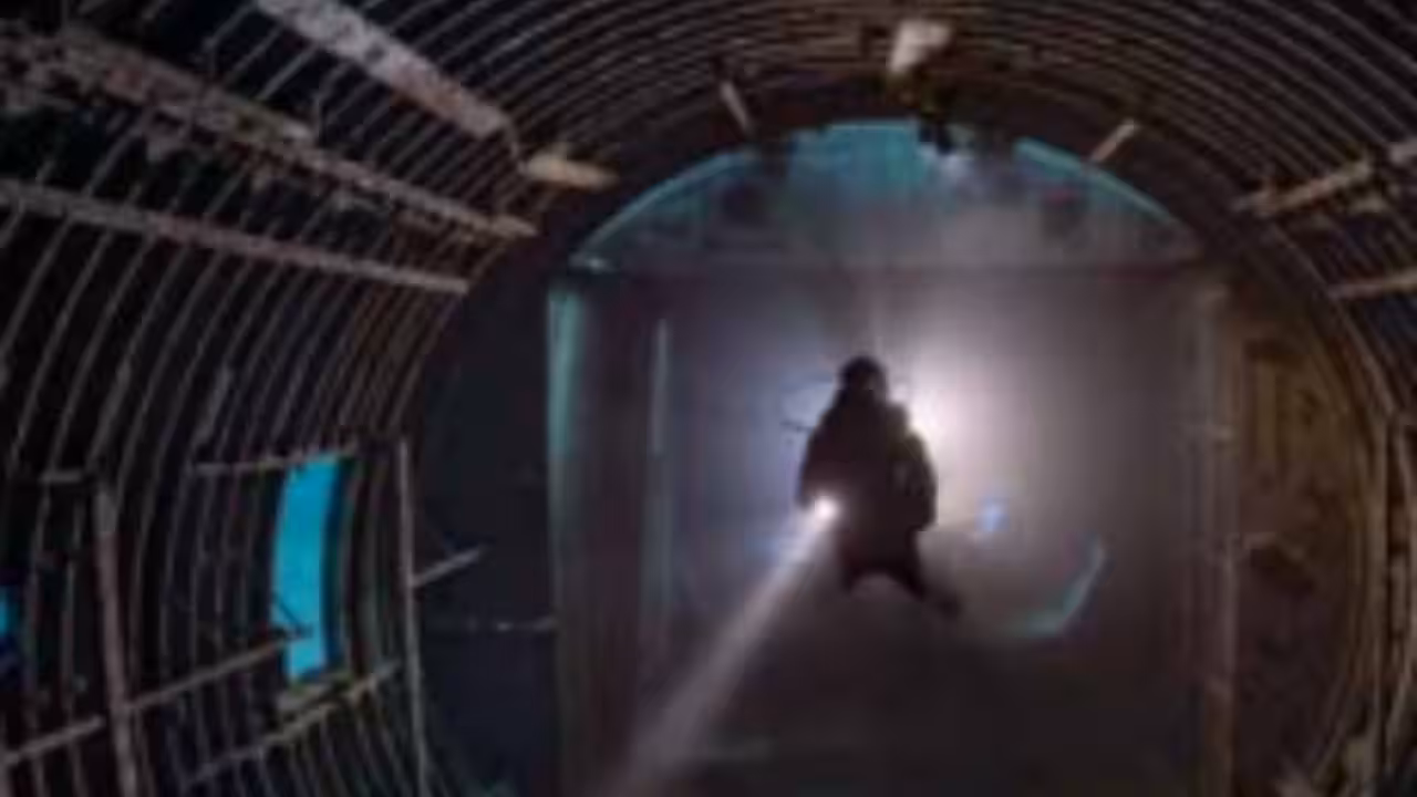 Fsh began using the wreck and surrounding spaces as shelter<br>